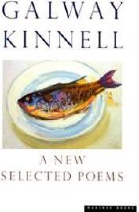 A New Selected Poems