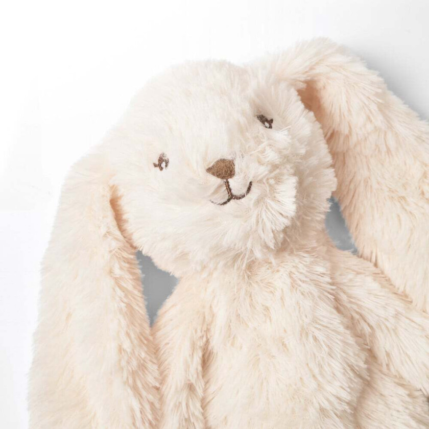 Heavy Teddy Small (11029465030)