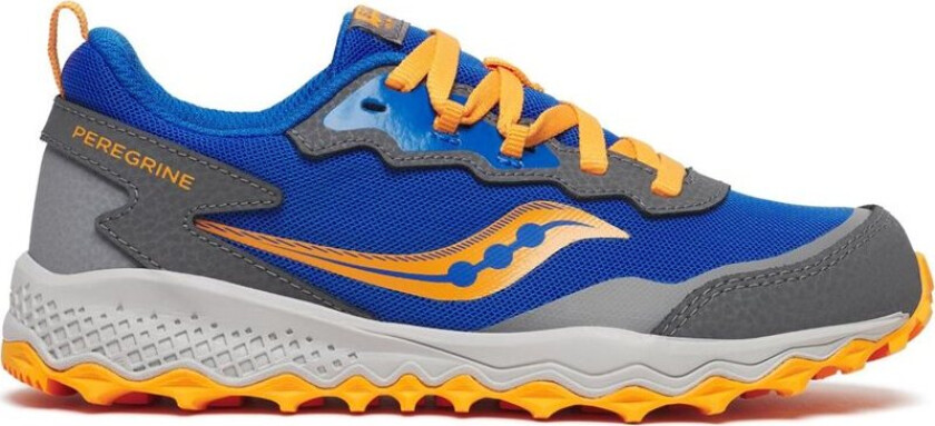 Peregrine Kdz Shield Blue/Orange
