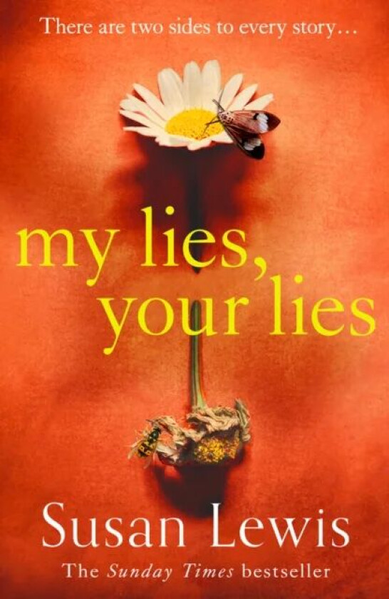 My Lies, Your Lies av Susan Lewis