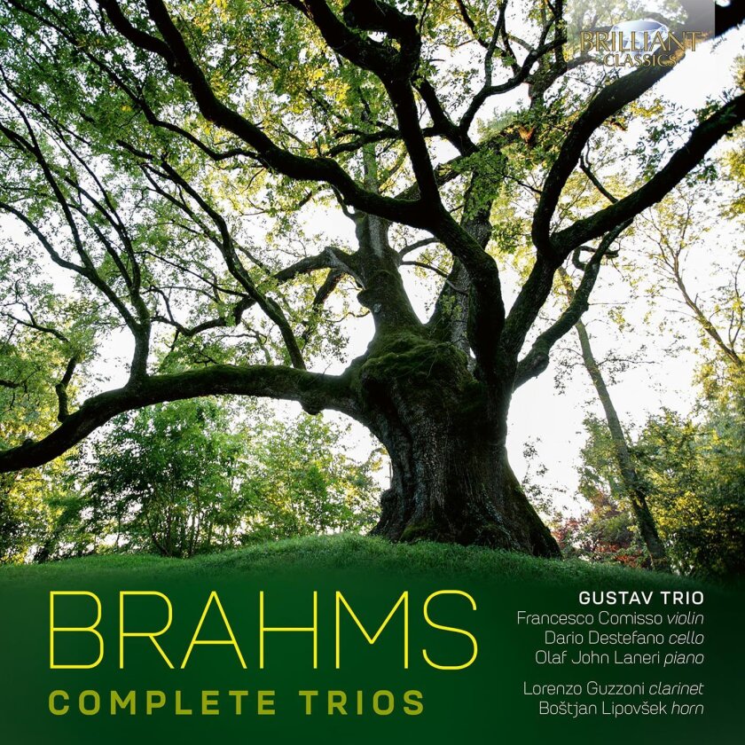 Trio Gustav Brahms: Complete Trios CD