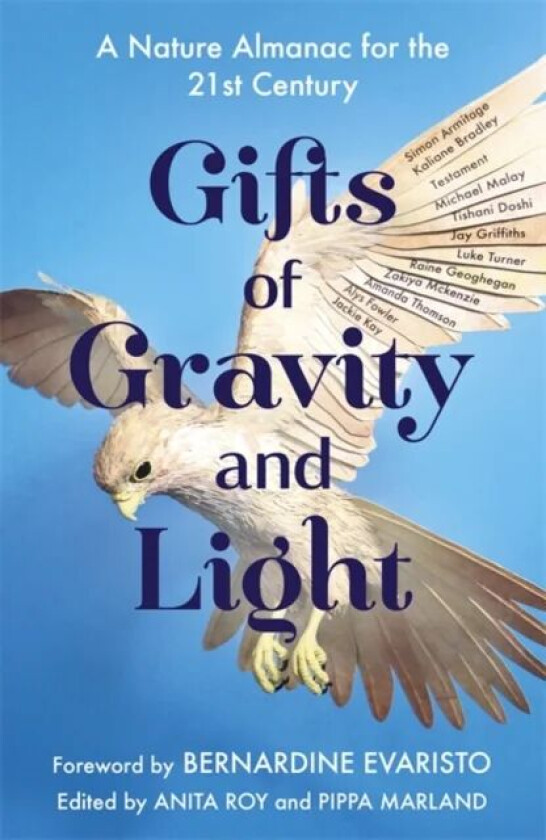 Gifts of Gravity and Light av Anita Roy, Pippa Marland