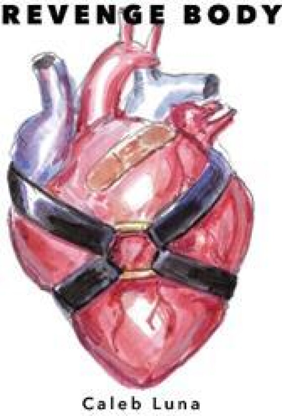 Revenge Body