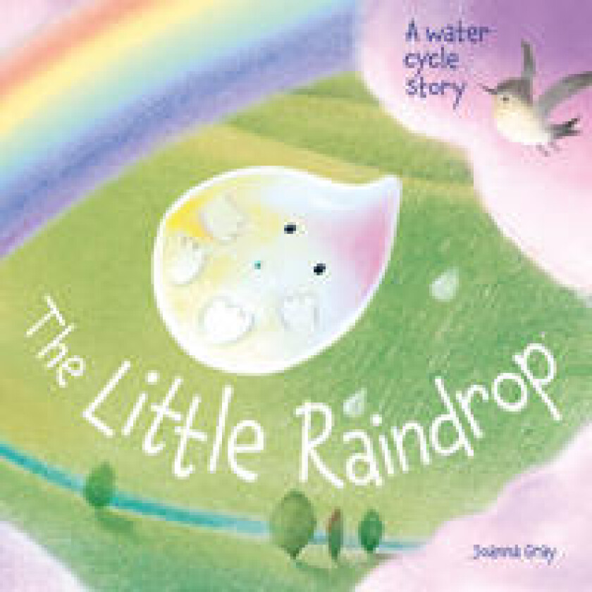 The Little Raindrop - A water cycle story