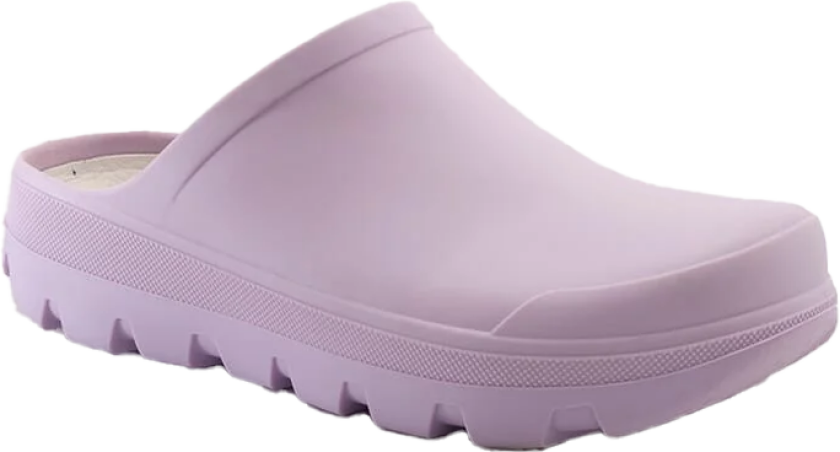 Nova Lilac