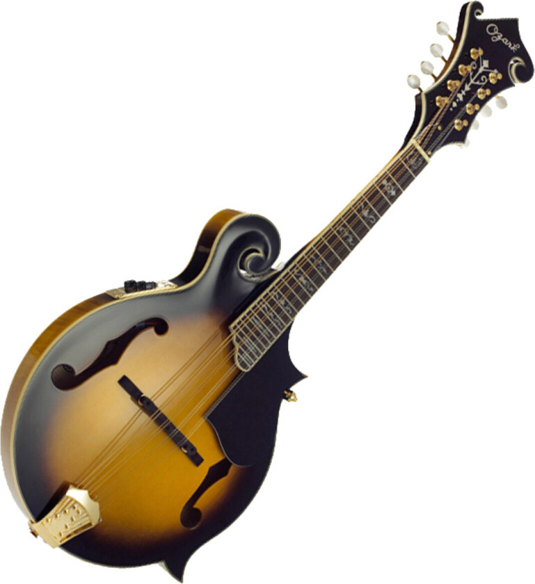 2255E Electric F Model Mandolin with Gig Bag