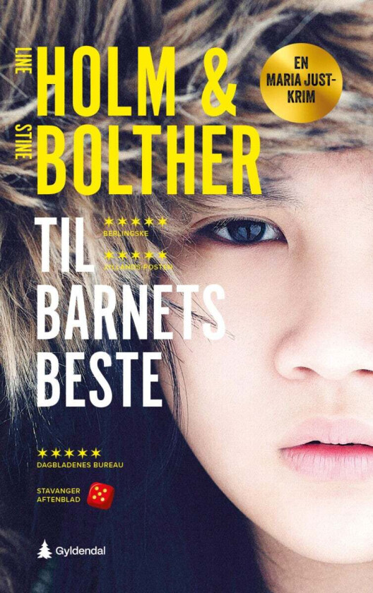 Til barnets beste av Stine Bolther, Line Holm