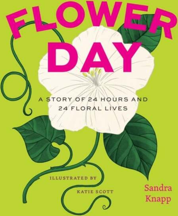 Flower Day av Sandra Knapp
