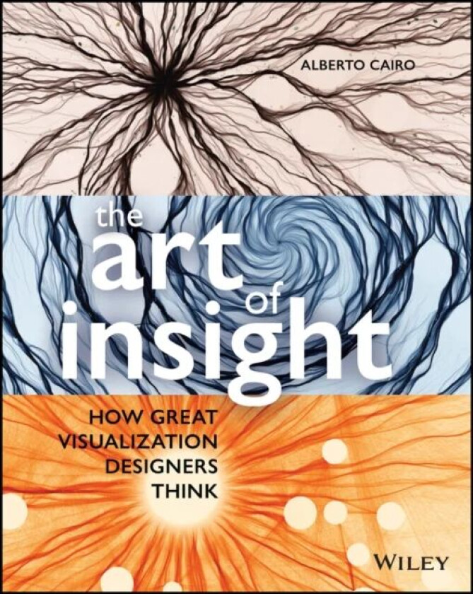 The Art of Insight av Alberto (University of Miami) Cairo