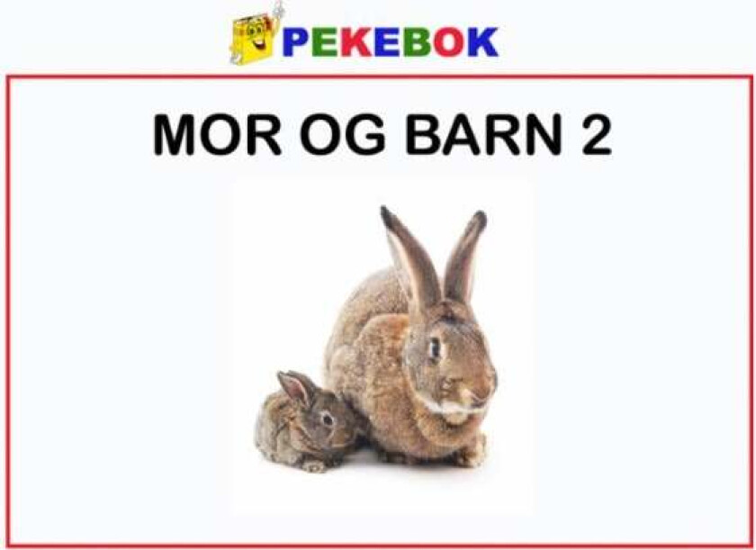 Mor og barn 2