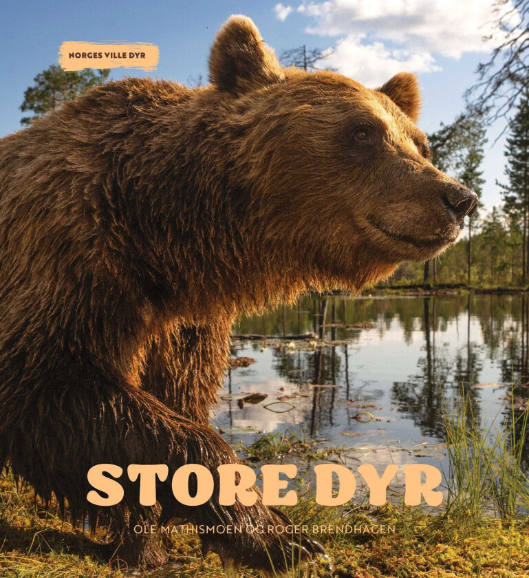 Store dyr Norges ville dyr