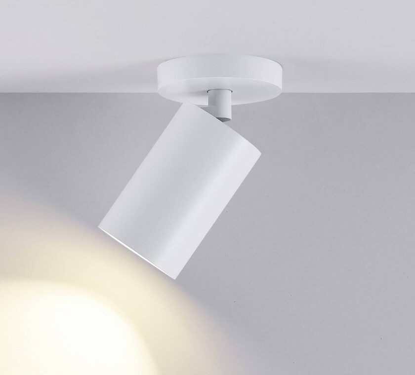 CAN TILT downlight, hvit, Ø 8 cm, 1 lyskilde, metall, GU10