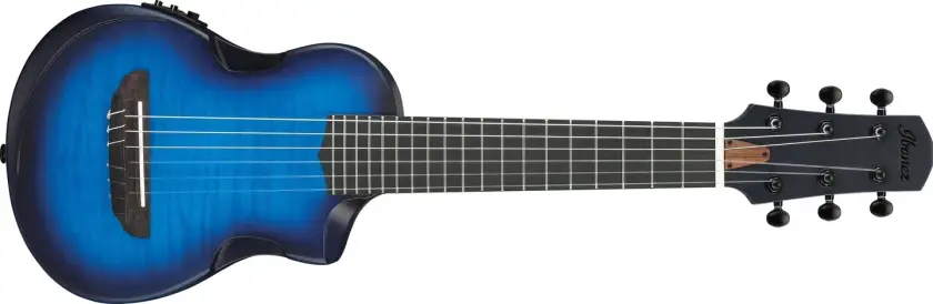 AUP10FMNE-TBO Piccologitar m.mik Soundport Advanced Acoustic