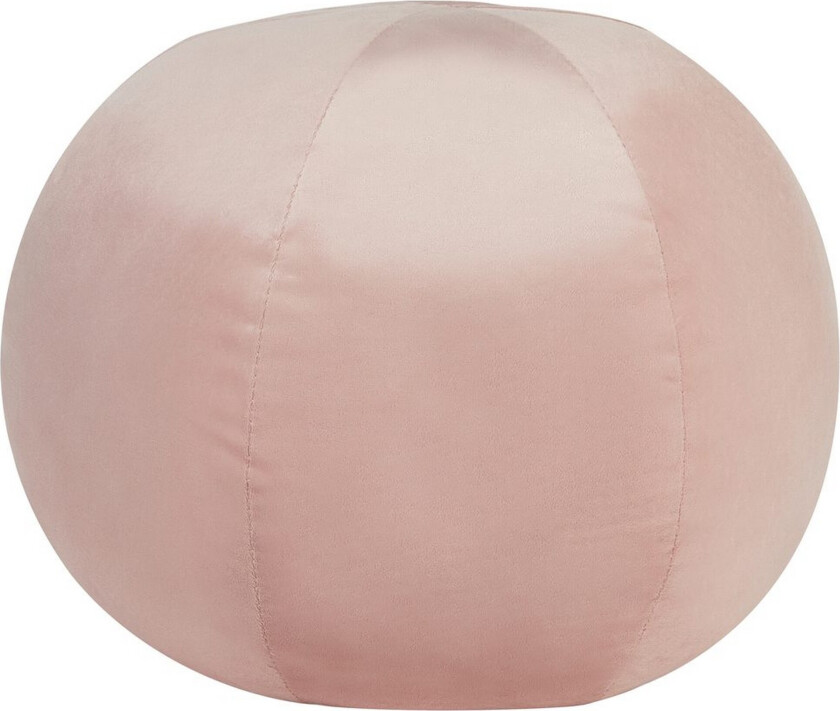 Pynteputer Salvie Rosa - Rosa