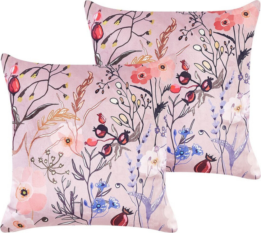 Pynteputer Anemones sett av 2