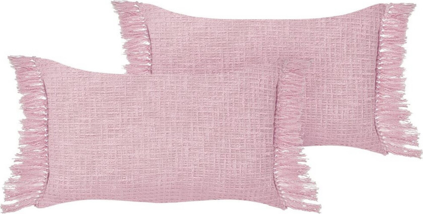 Pynteputer Tansy sett på 2 Rosa - Rosa