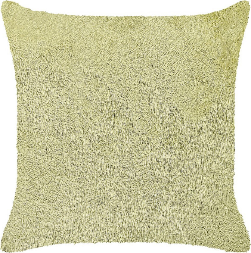 Pynteputer Pilea Grønn - Grønn