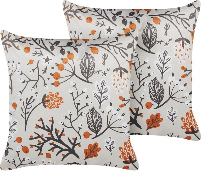 Pynteputer Montbretia sett med 2