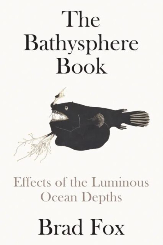 The Bathysphere Book av Brad Fox