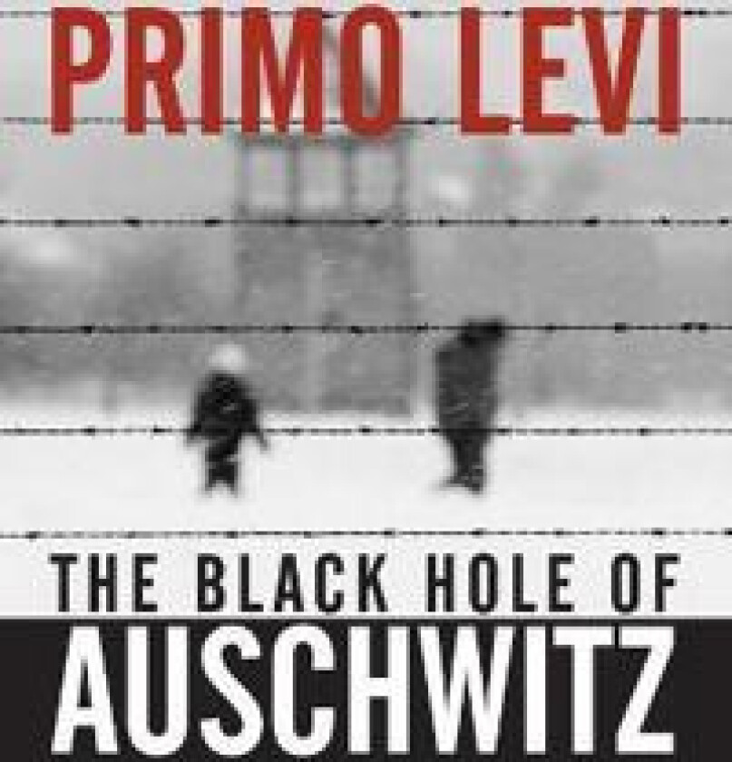 The Black Hole of Auschwitz