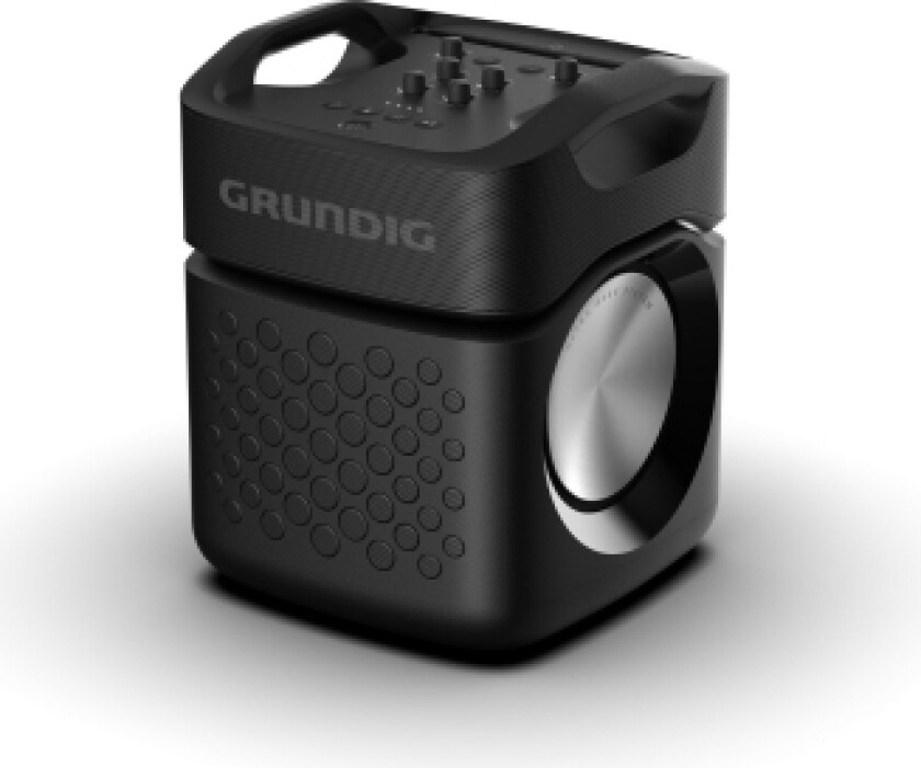 Grundig Partyhit Max - Verkabelt & Kabellos - Tragbarer Mono-Lautsprecher - Schwarz - Ipx4 - Integrierte Batterie - 12 H (Glr7790)