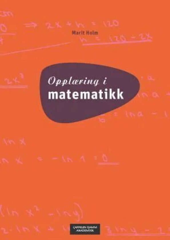 Opplæring i matematikk av Marit Holm