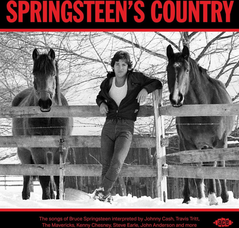 Bruce Springsteen Tribute Springsteen's Country CD