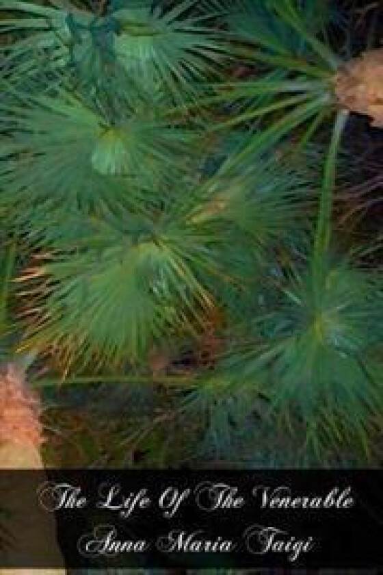 The Life of the Venerable Anna Maria Taigi: The Roman Matron