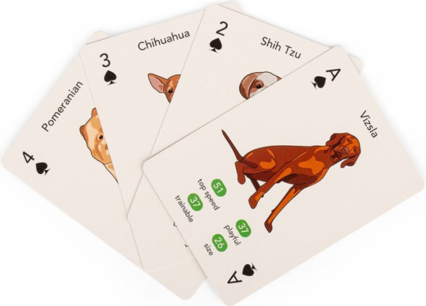 Paws&Play Playing Cards - (GG274)