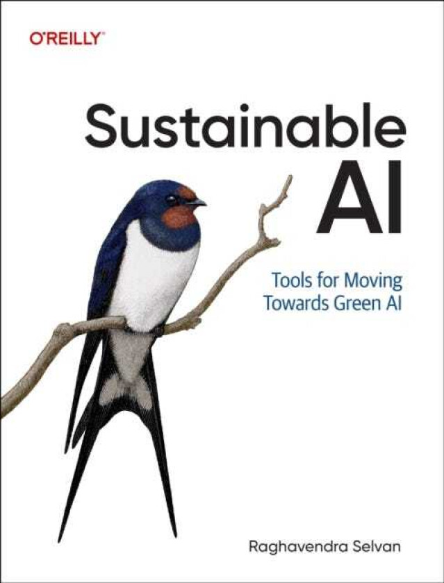 Sustainable AI Tools for Moving Towards Green AI