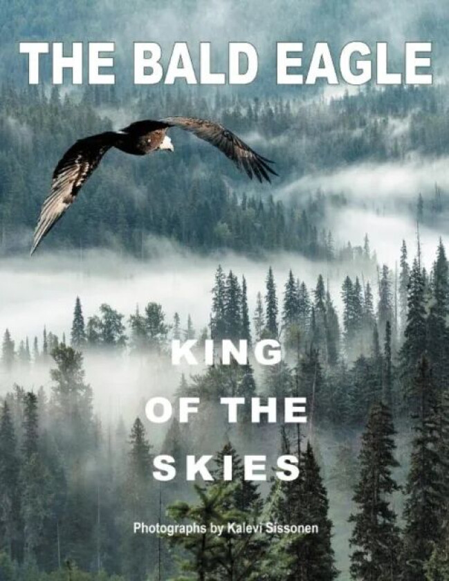 The Bald Eagle av Kalevi Sissonen