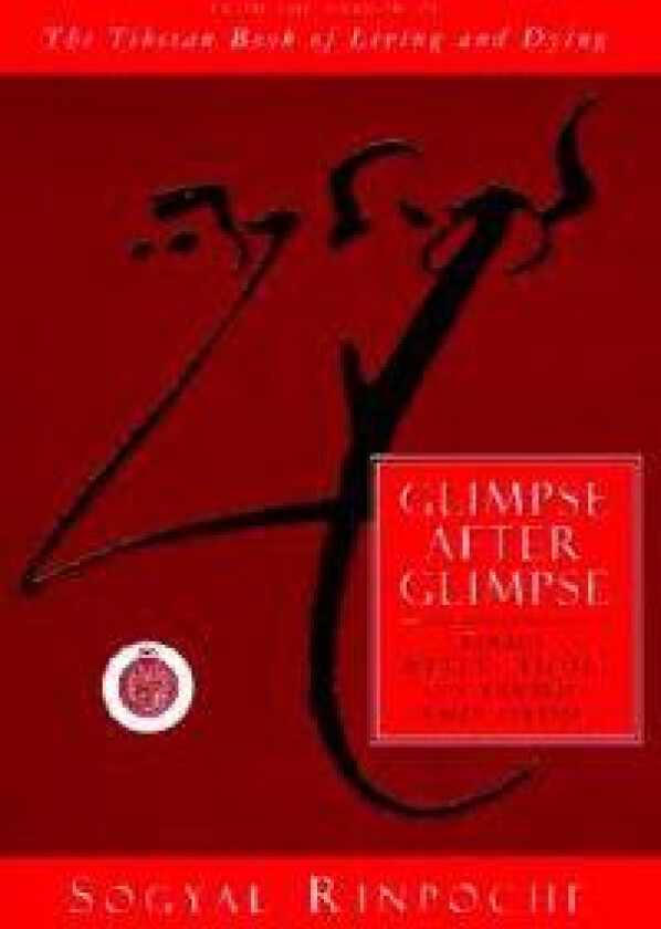 Glimpse After Glimpse: Daily Reflections on Living and Dying
