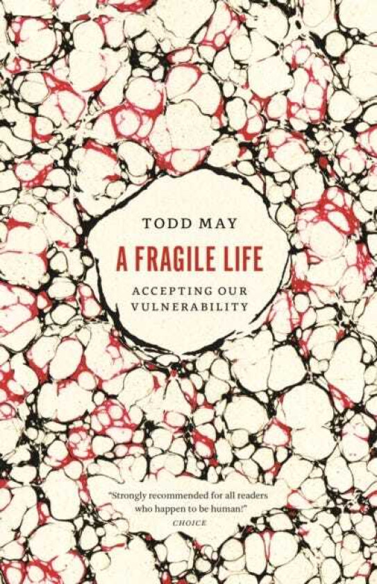A Fragile Life Accepting Our Vulnerability