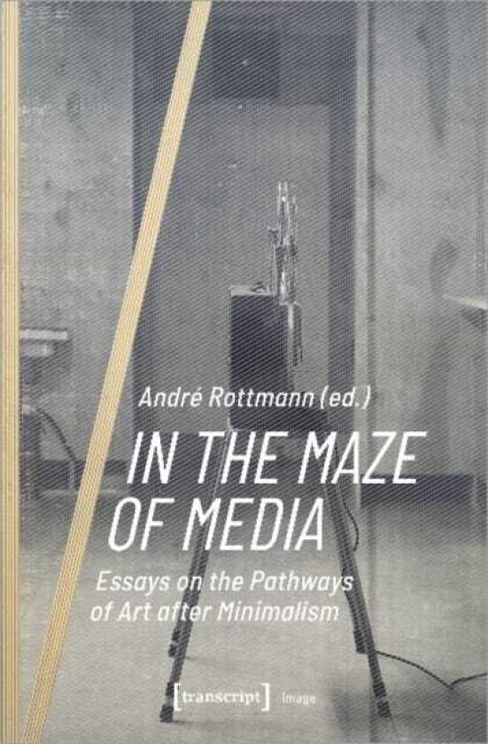 In the Maze of Media Essays on the Pathways of Art after Minimalism