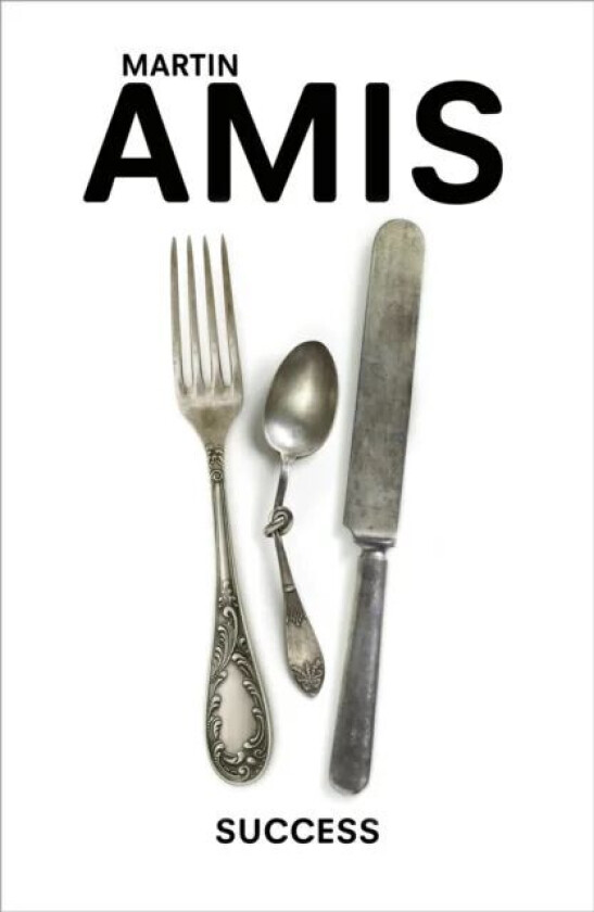 Success av Martin Amis