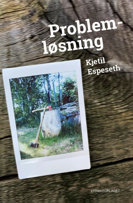 Problemløsning av Kjetil Espeseth