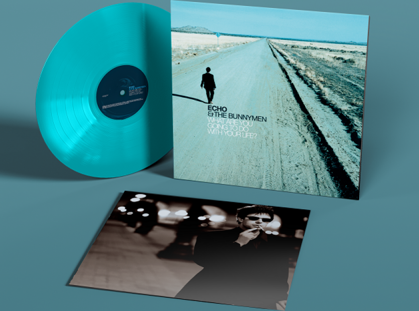 Echo & The Bunnymen What Are You Going To Do With Your Life ? LP/Vinyl