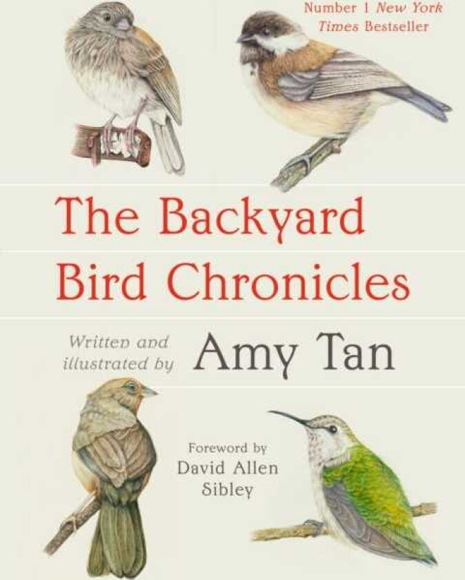 The Backyard Bird Chronicles
