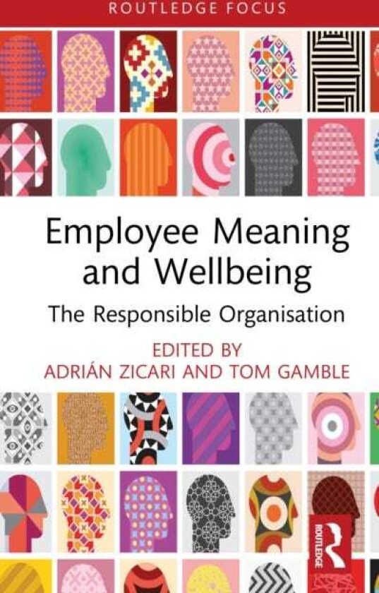 Employee Meaning and Wellbeing The Responsible Organisation