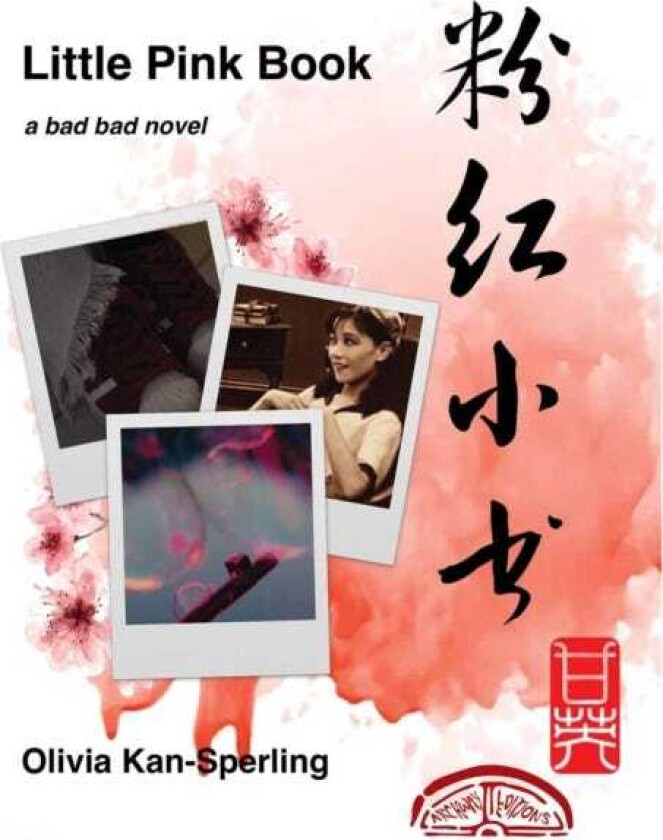 Little Pink Book A Bad Bad Novel