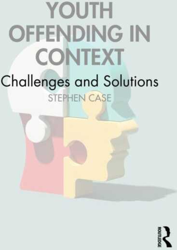 Youth Offending in Context Challenges and Solutions