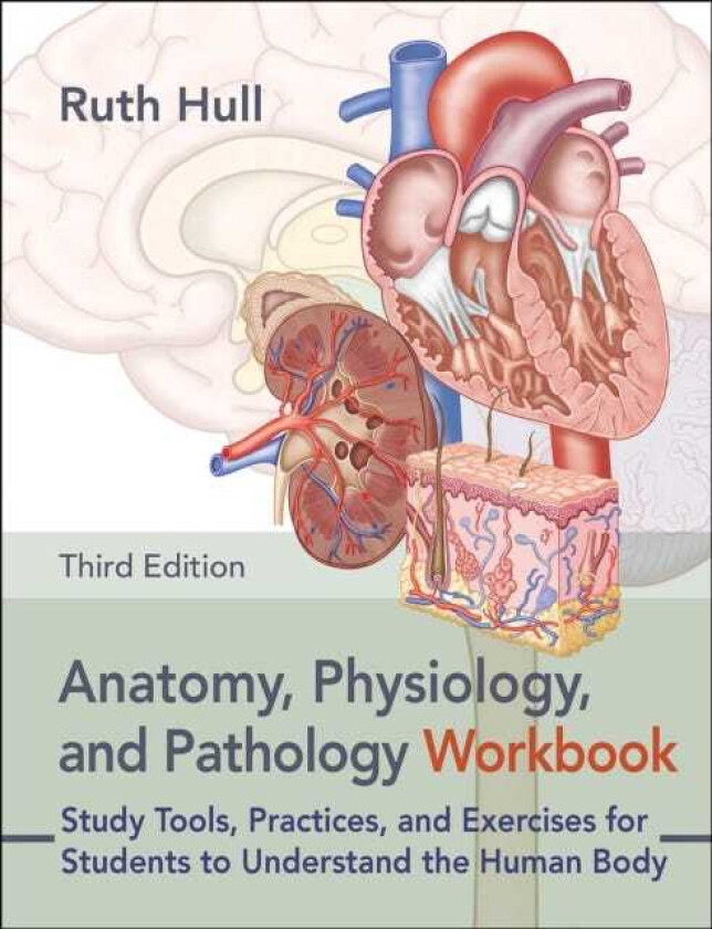 Anatomy, Physiology, and Pathology Workbook Study Tools, Practices, and Exercises for Students to Understand the Human Body