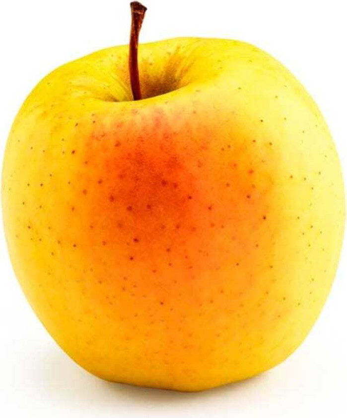 Epler Golden Delicious