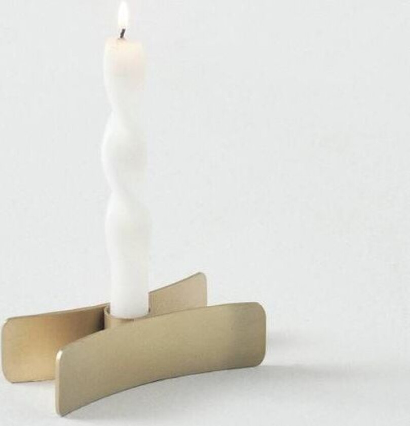 TIMON lysestake Gull