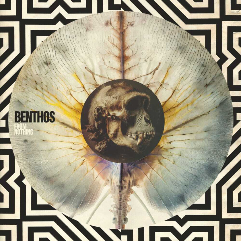 Benthos From Nothing CD