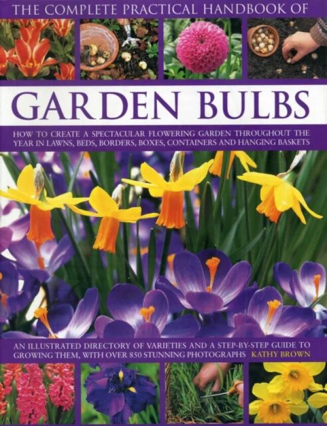 Complete Practical Handbook of Garden Bulbs av Brown Kathy