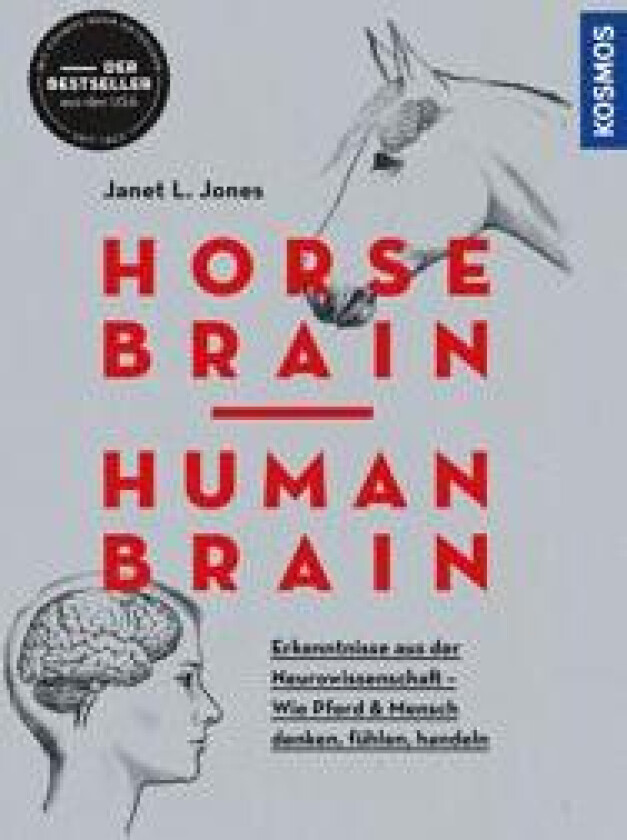 Horse Brain, Human Brain