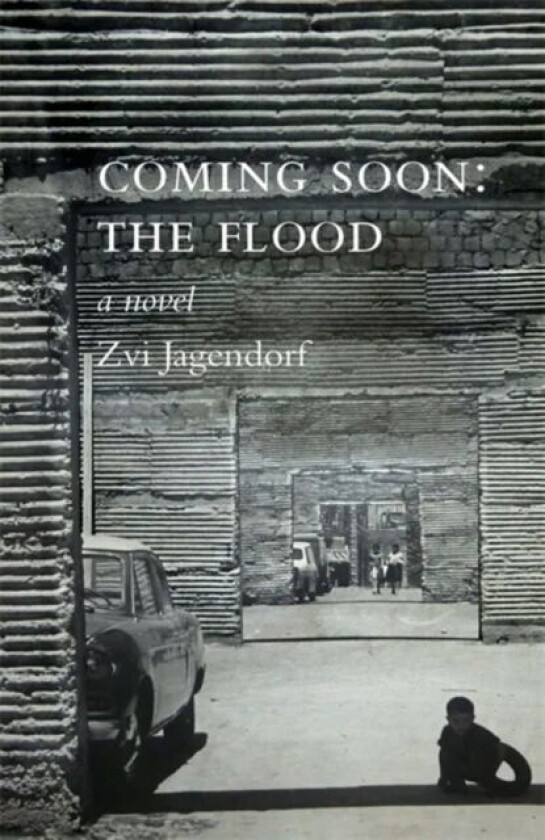 Coming Soon: The Flood av Zvi Jagendorf