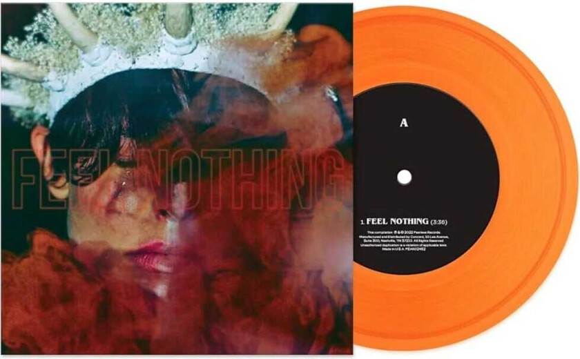 The Plot In You Feel Nothing / Paradigm LP/Vinyl