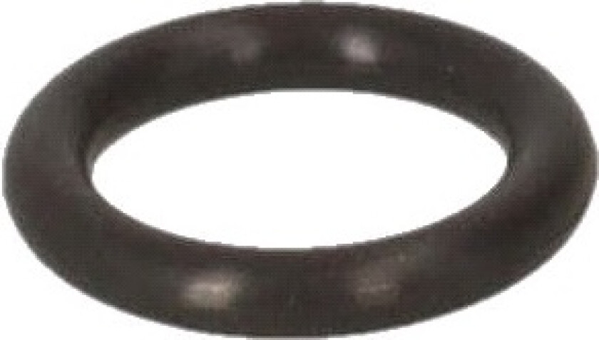 Kärcher O-ring